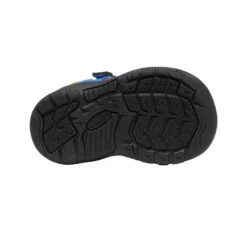 Keen Toddlers' Newport H2SHO | Multi/Bright Cobalt -Keens Boots Store 0f9ee6253f57862281132f6947140b18015f43b1