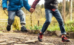 Keen Little Kids' Chandler 2 CNX Sneaker | Festival Fuchsia/Ibis Rose -Keens Boots Store KidsChandler2Lifestyle1 4c6f9670 5987 4933 ae2a c7df21575131